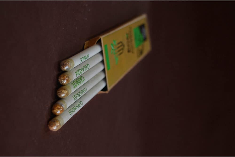 EcoBloom Pencil - Image 2