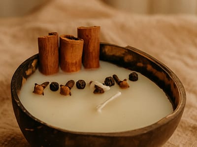 Coconut Shell Fragrance Candles (Cinnamon)