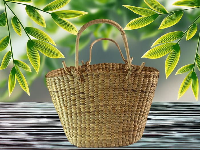 Cane Shopping Basket