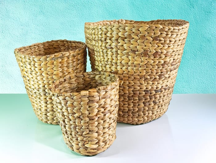 Cane Planter (Medium)