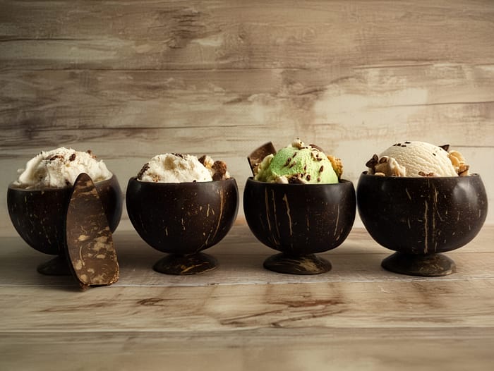 Coconut Shell Ice-cream Bowl (Set of 4)