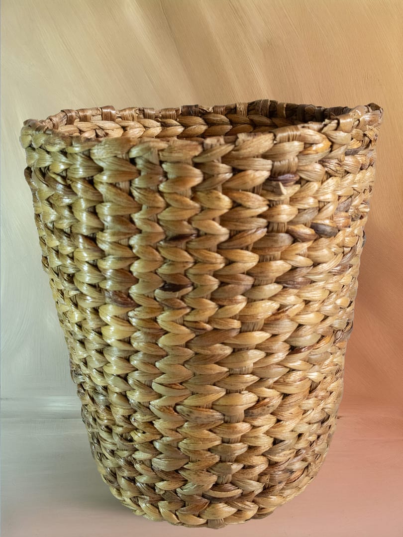 Cane Planter