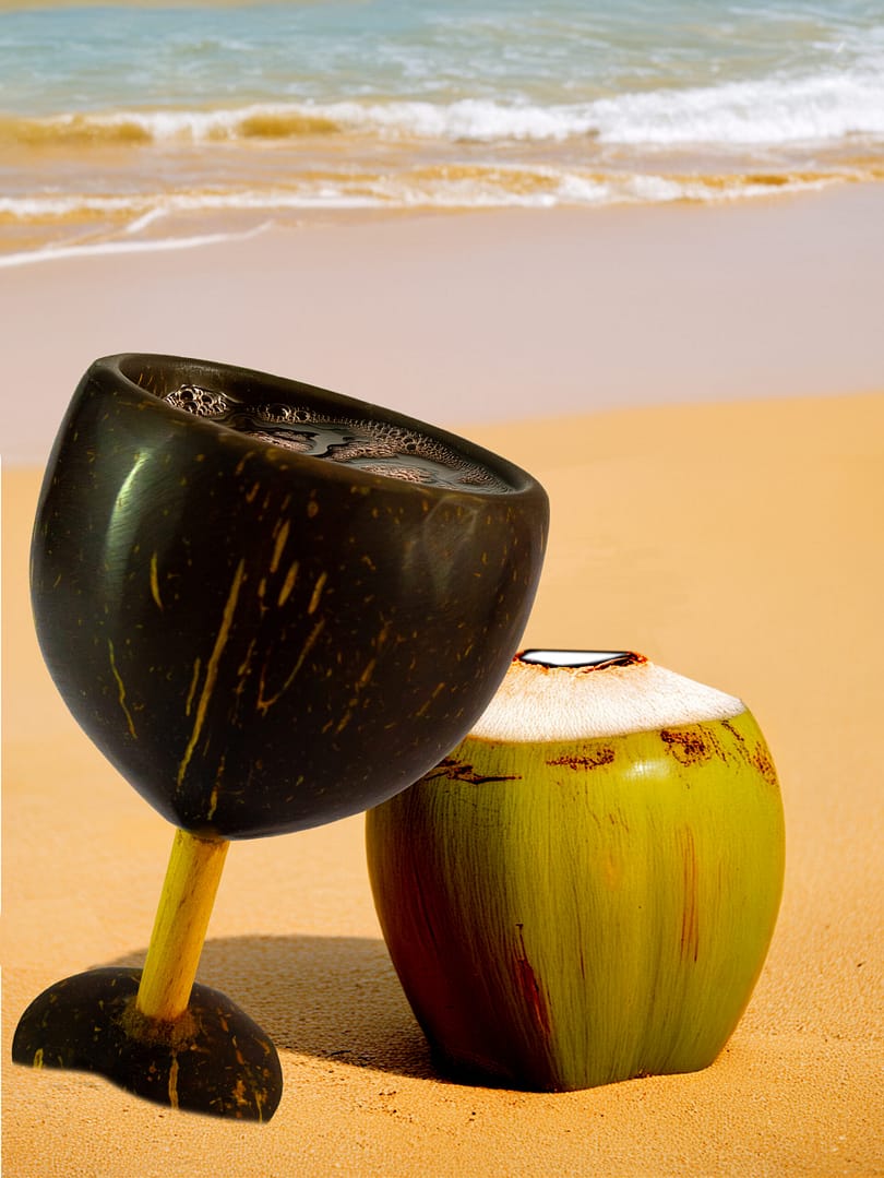 Coconut Shell Wine Glass (set of 2) - Image 2